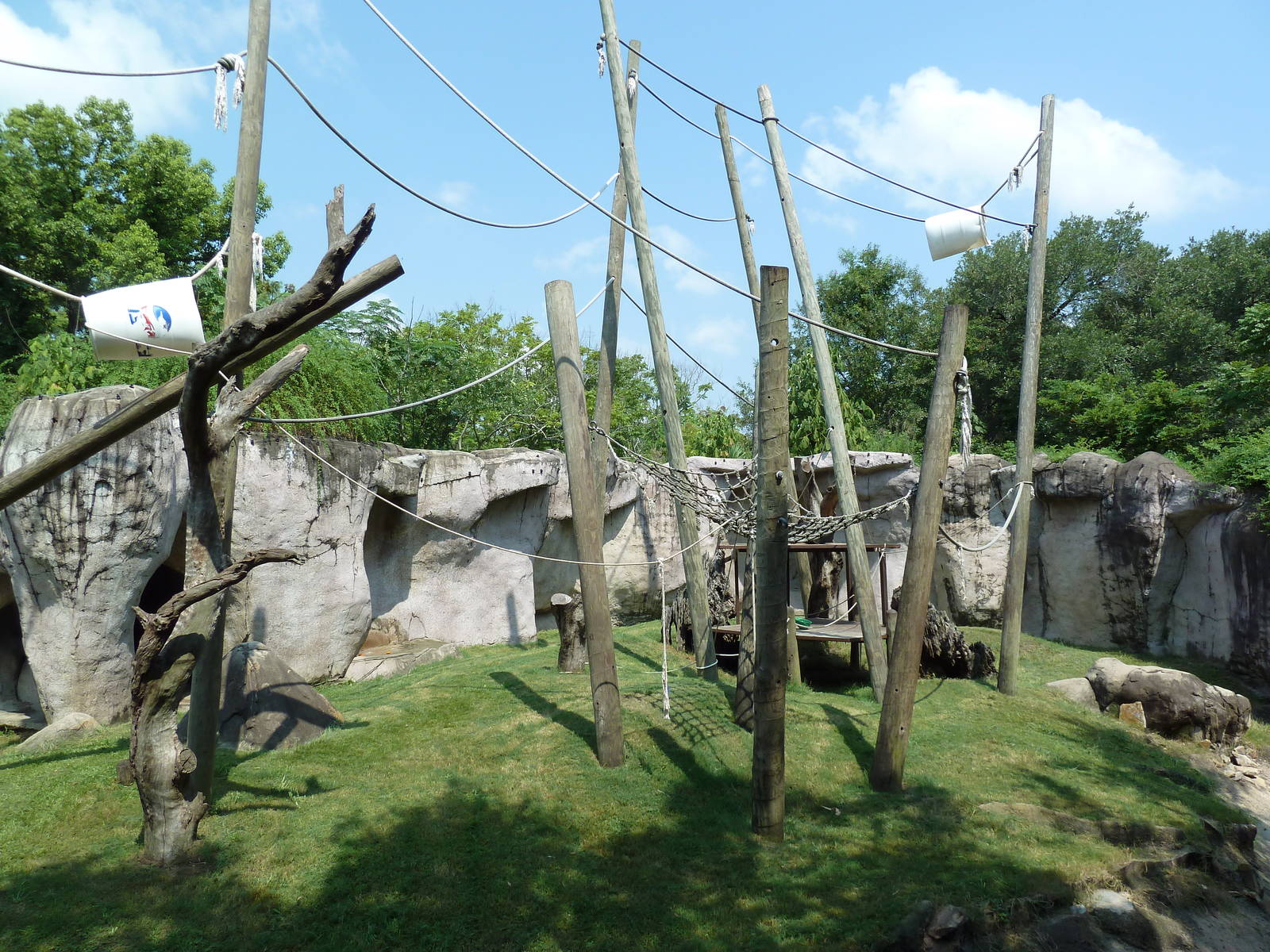World Of Primates - Sumatran Orangutan Exhibit