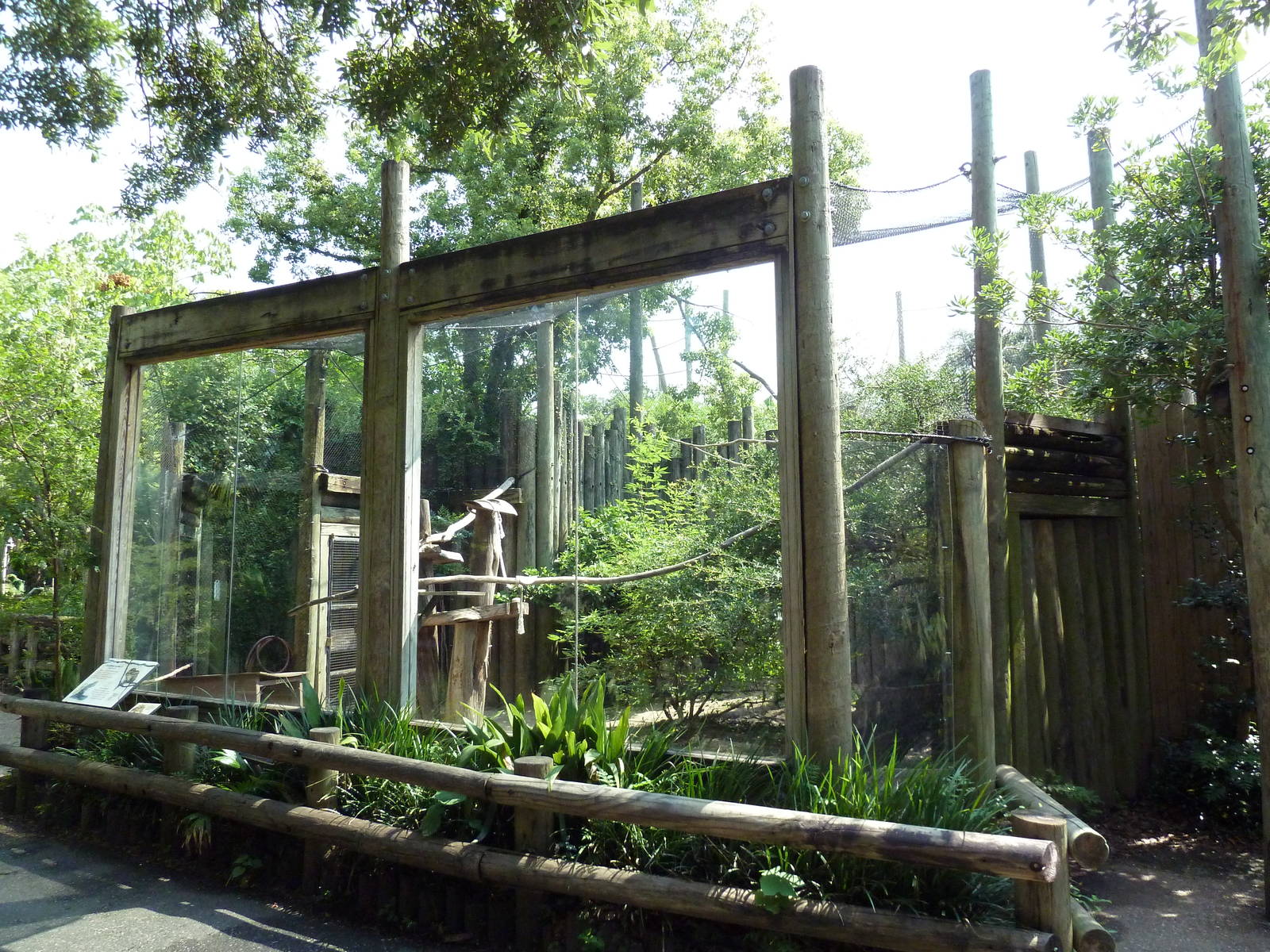 World Of Primates - Talapoin Monkey Exhibit