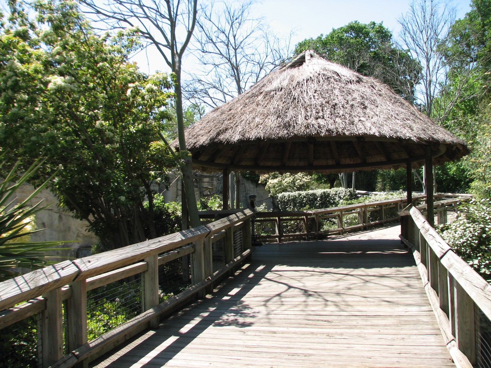World of Primates - Viewing Boardwalk