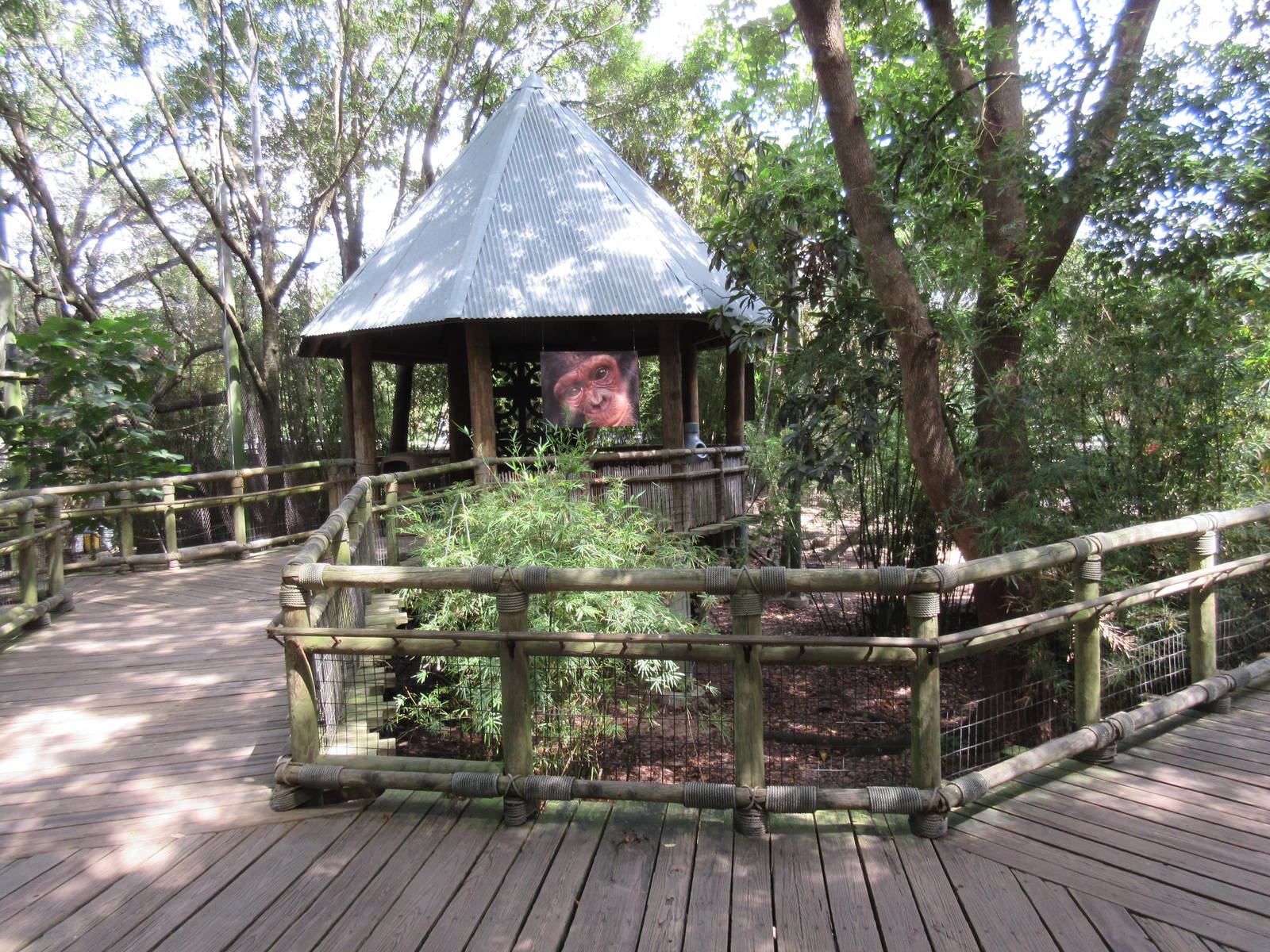 World of Primates - Visitor Pathway