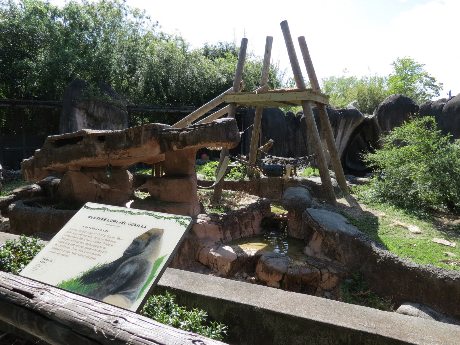 World of Primates - Western Lowland Gorilla Exhibit