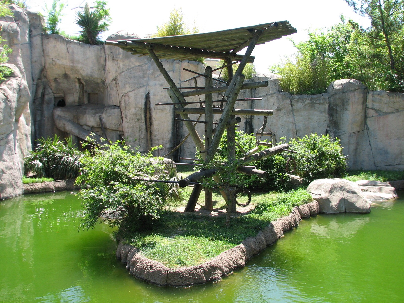 World of Primates - White-cheeked Gibbon Exhibit