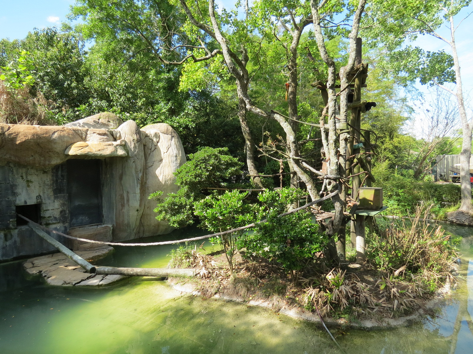 World of Primates - White-faced Saki and Golden Lion Tamarin Exhibit