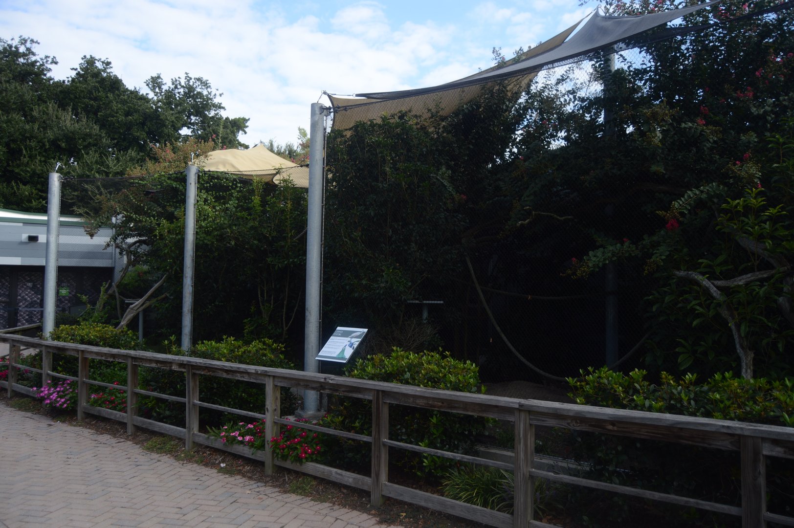 World of Reptiles and Friends - Indian Peafowl (Pavo cristatus) Exhibit