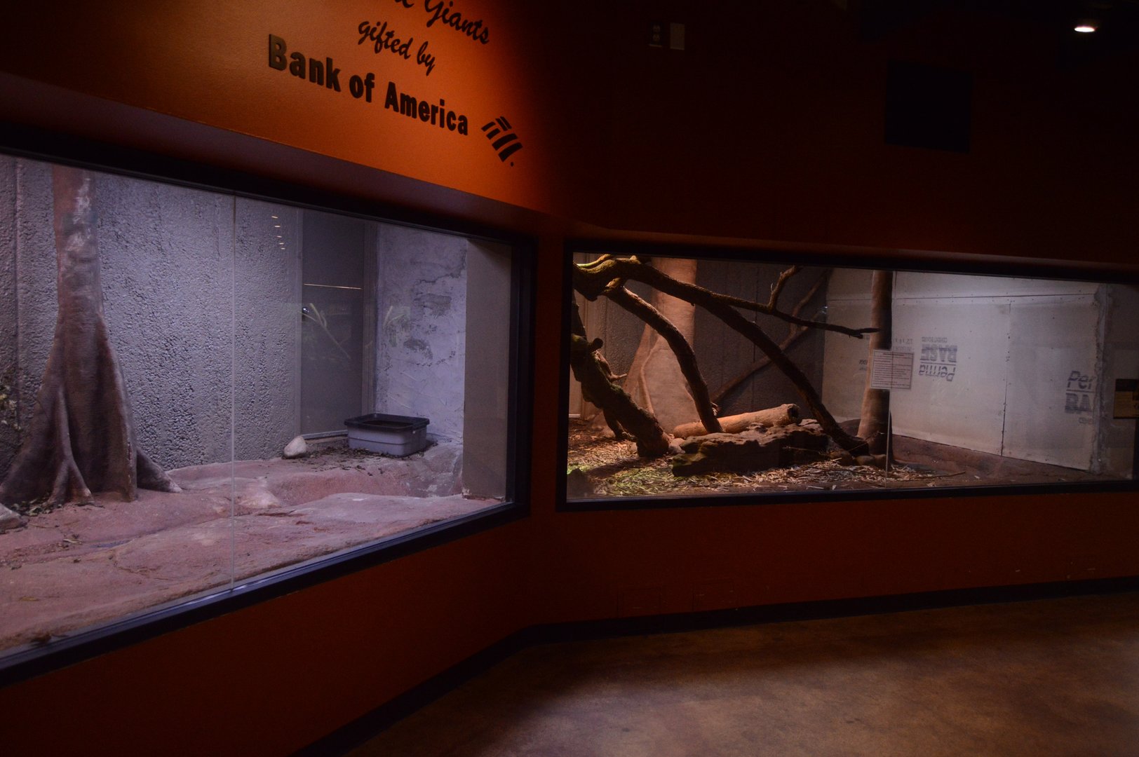 World of Reptiles and Friends - Unfinished Exhibits