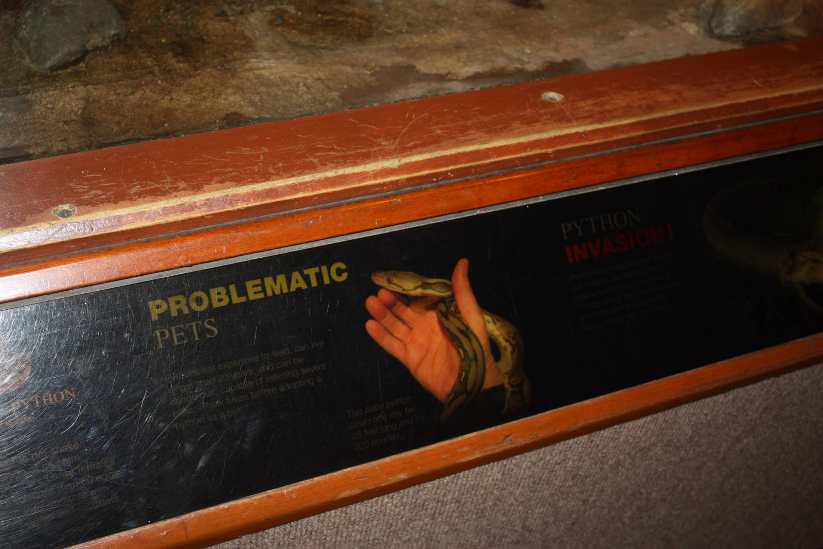 World of Reptiles- Burmese Python Signage