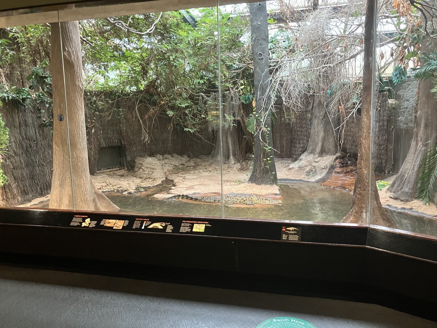 World of Reptiles - Cuban Crocodile Exhibit