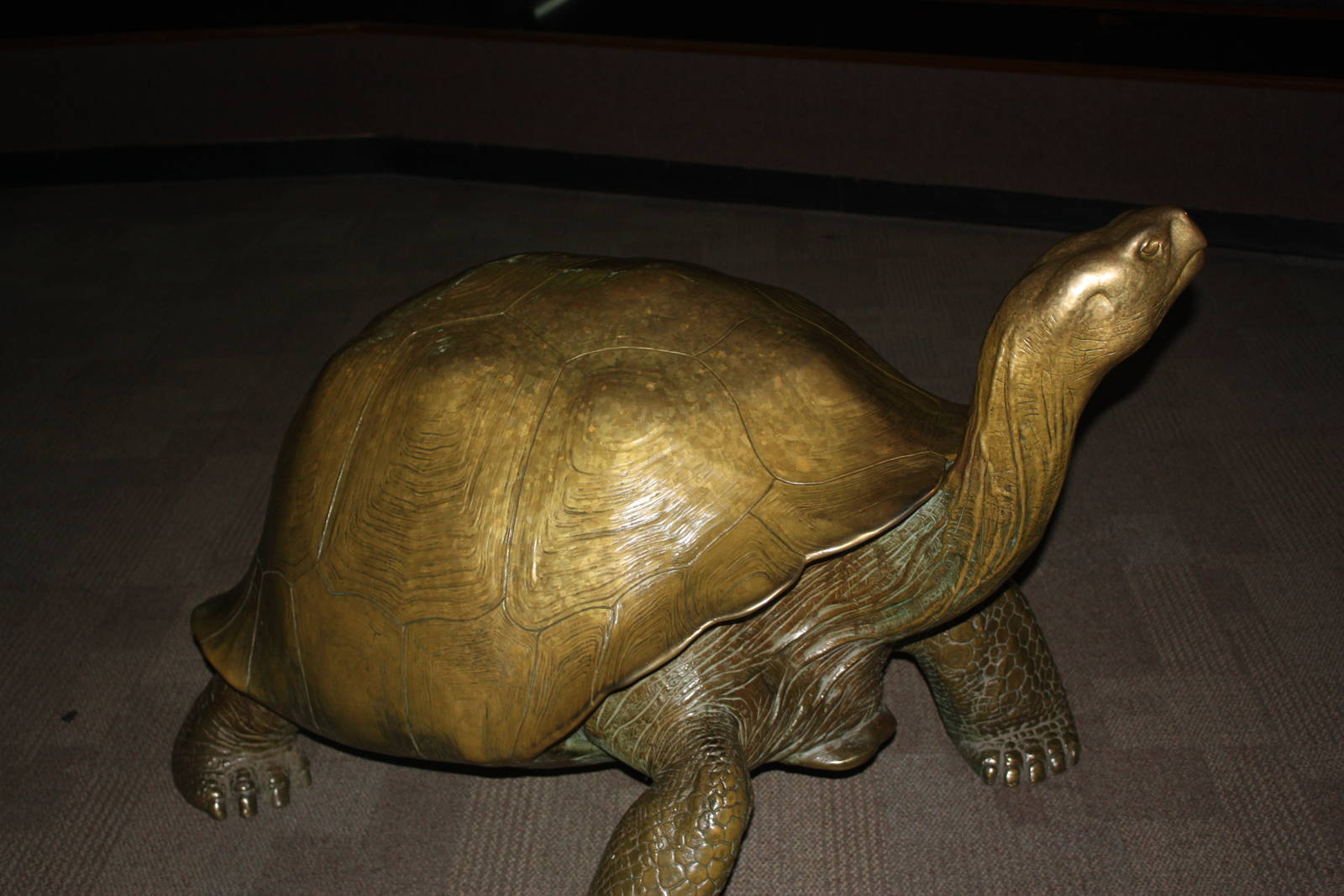 World of Reptiles- Giant Tortoise Statue