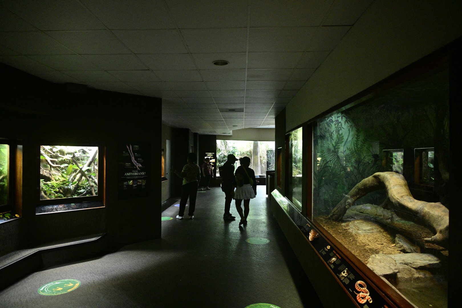 World of Reptiles - Interior