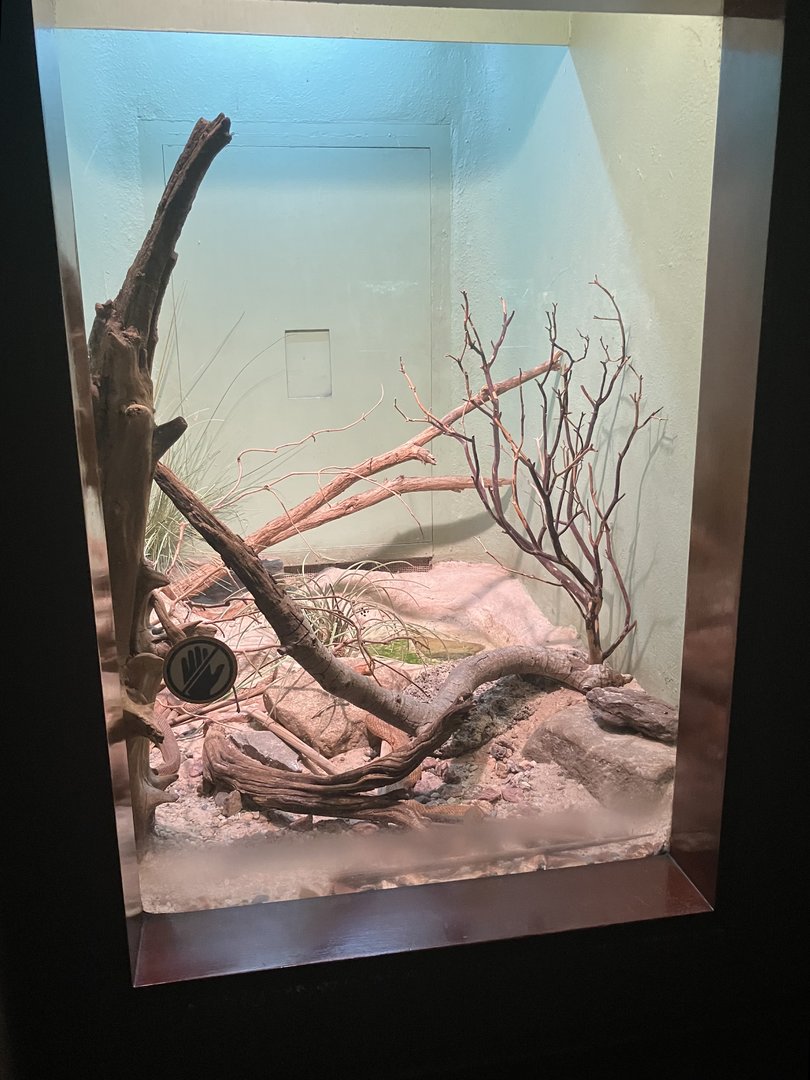 World of Reptiles - Milos Viper Terrarium