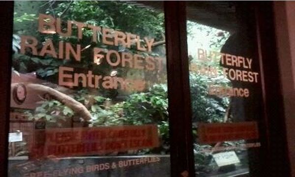 World of the Insect-Butterfly Rainforest entrance