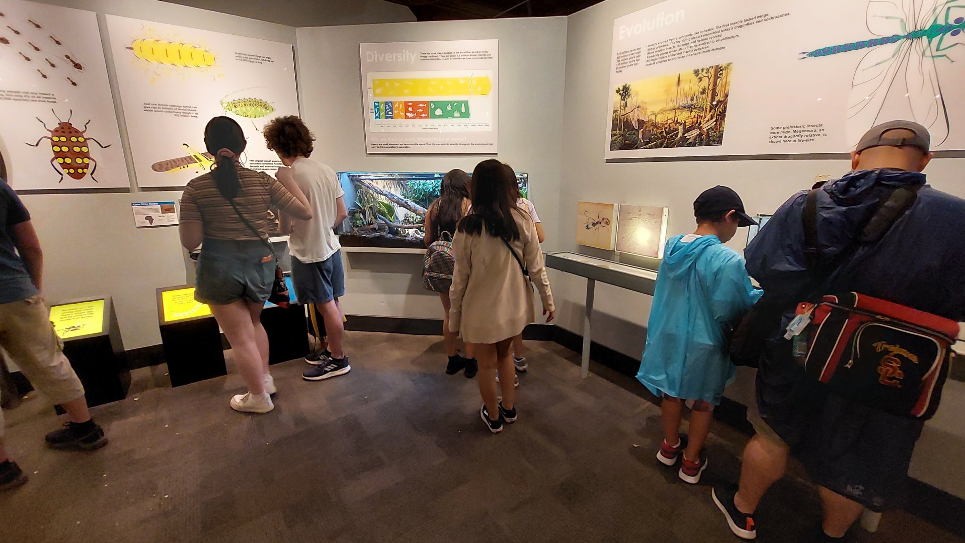 World of the Insect entery hall overview