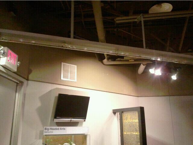 World of the Insect-Insect Lifestyles-Leaf-cutter Ant exhibit Tube