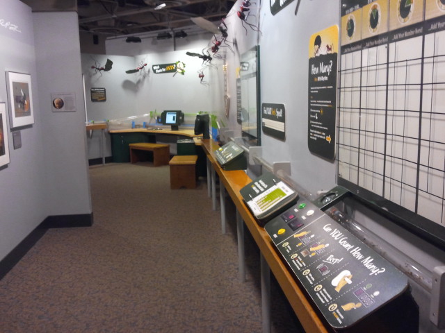 World of the Insect-Leaf-cutter Ant exhibit