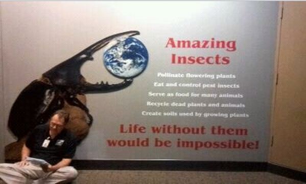 World of the Insect