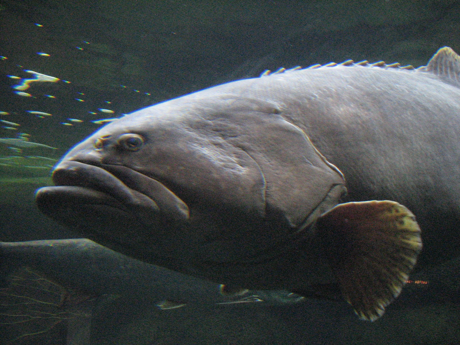 World of the Sea Aquarium