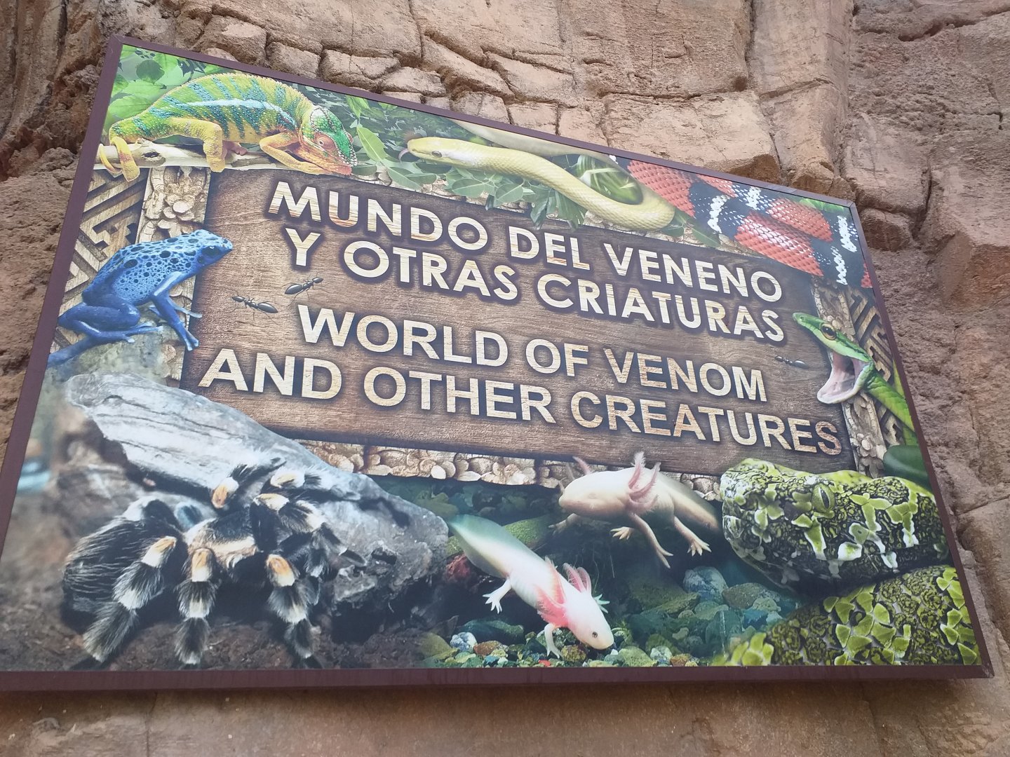 World of venom and other creatures -TerraNatura Benidorm (2021)