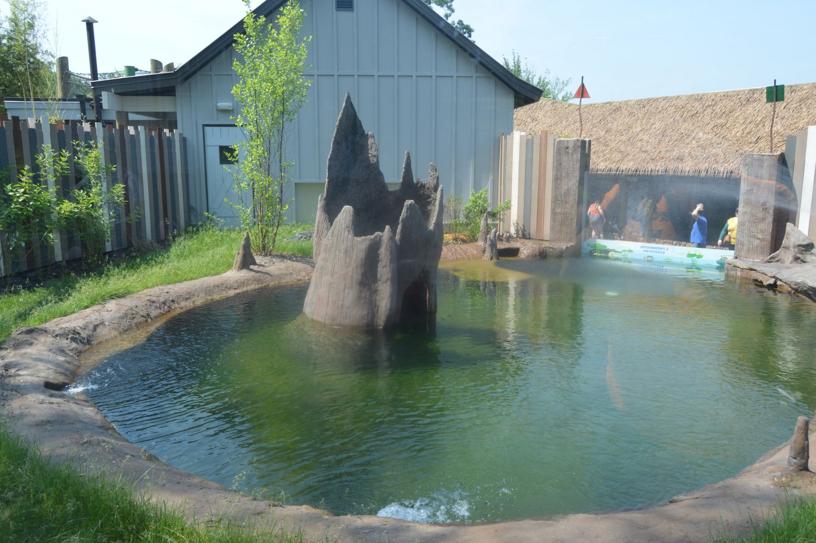 World of Water - American Alligator (Alligator mississippiensis) Exhibit