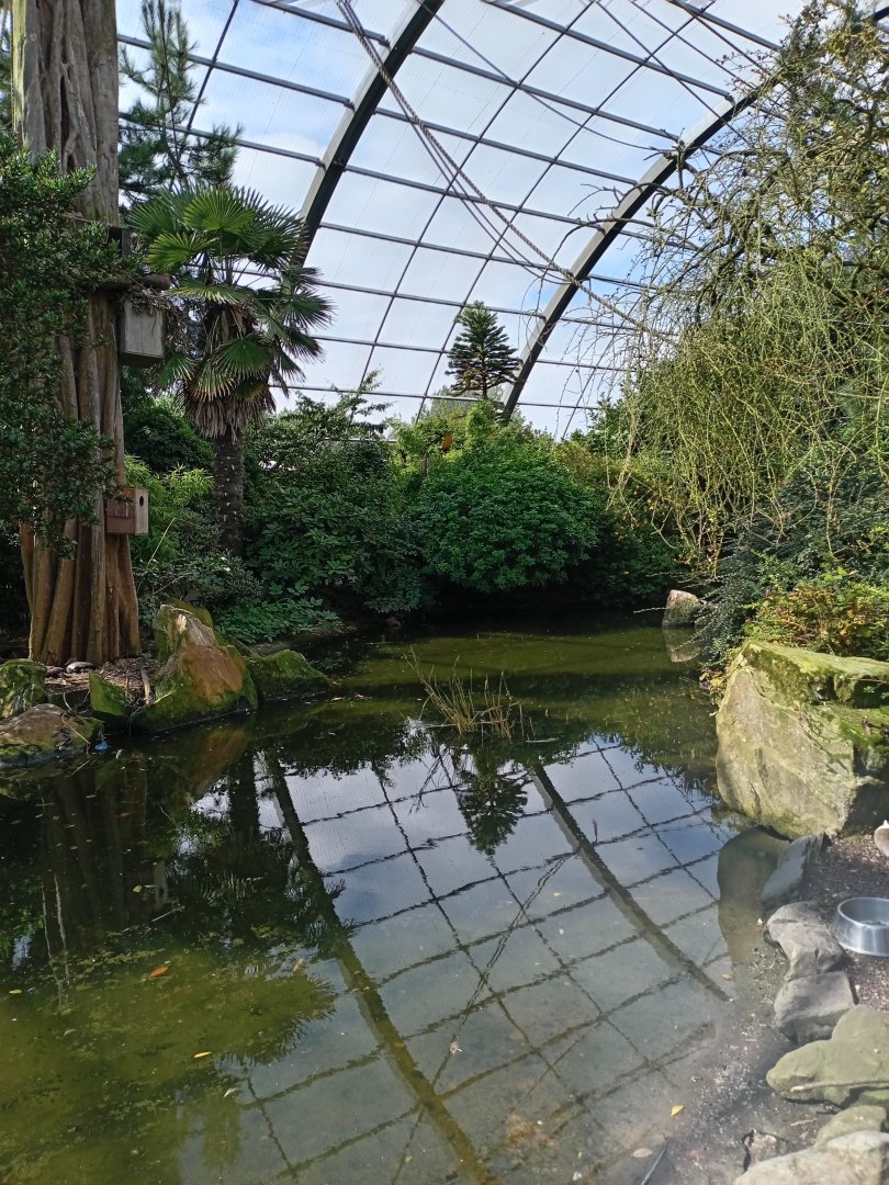 World of Wings Aviary 25/8/23