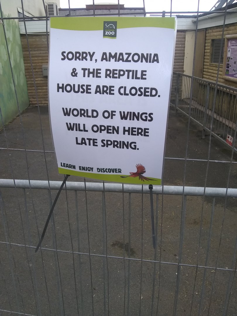 world of wings coming soon