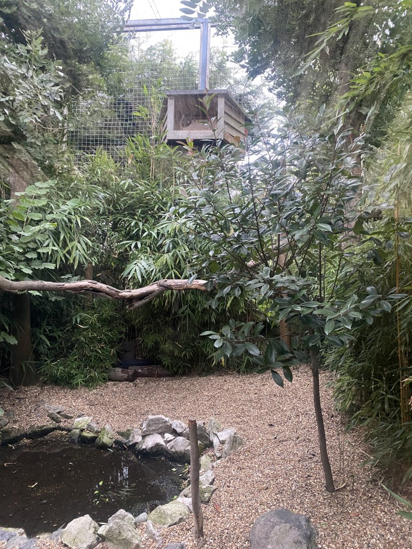 World of Wings - Eurasian great grey owl aviary 110925