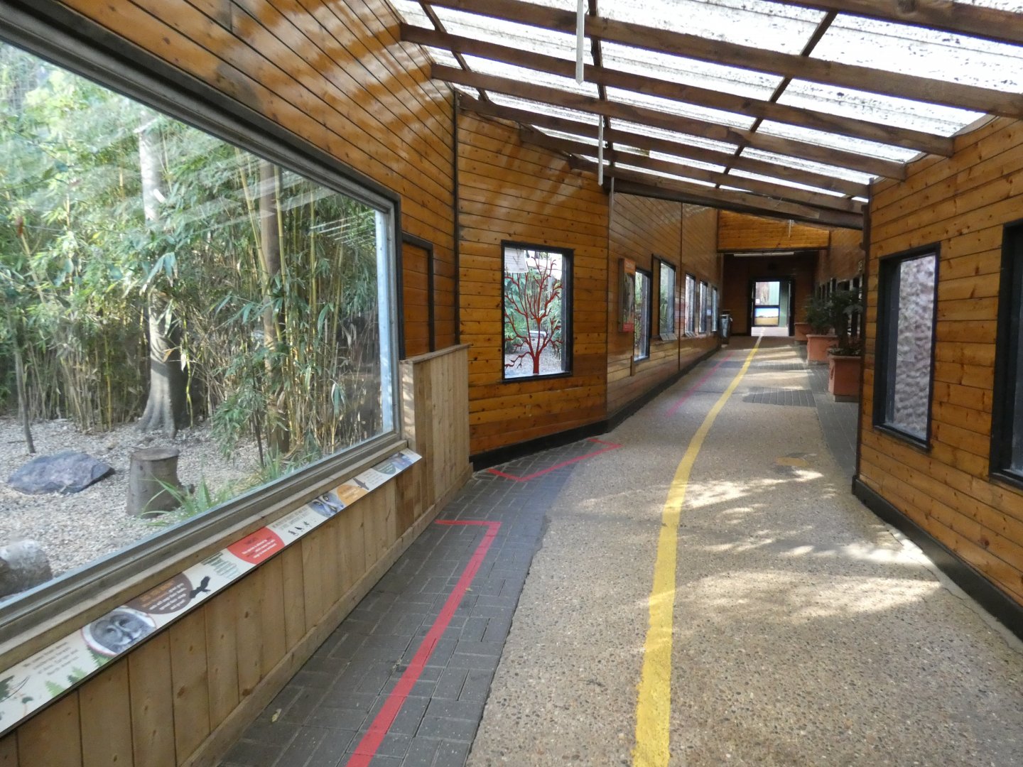 World of Wings viewing area