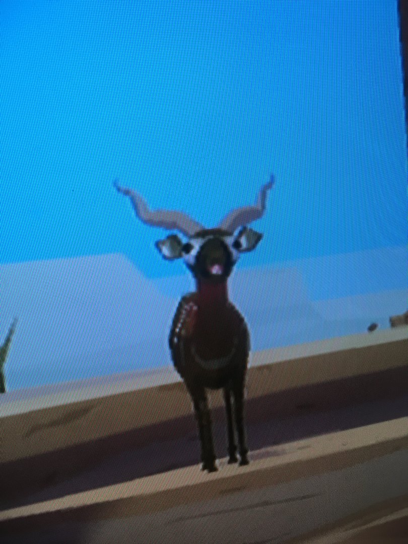 World of Zoo - Antelope Canyon - Trina