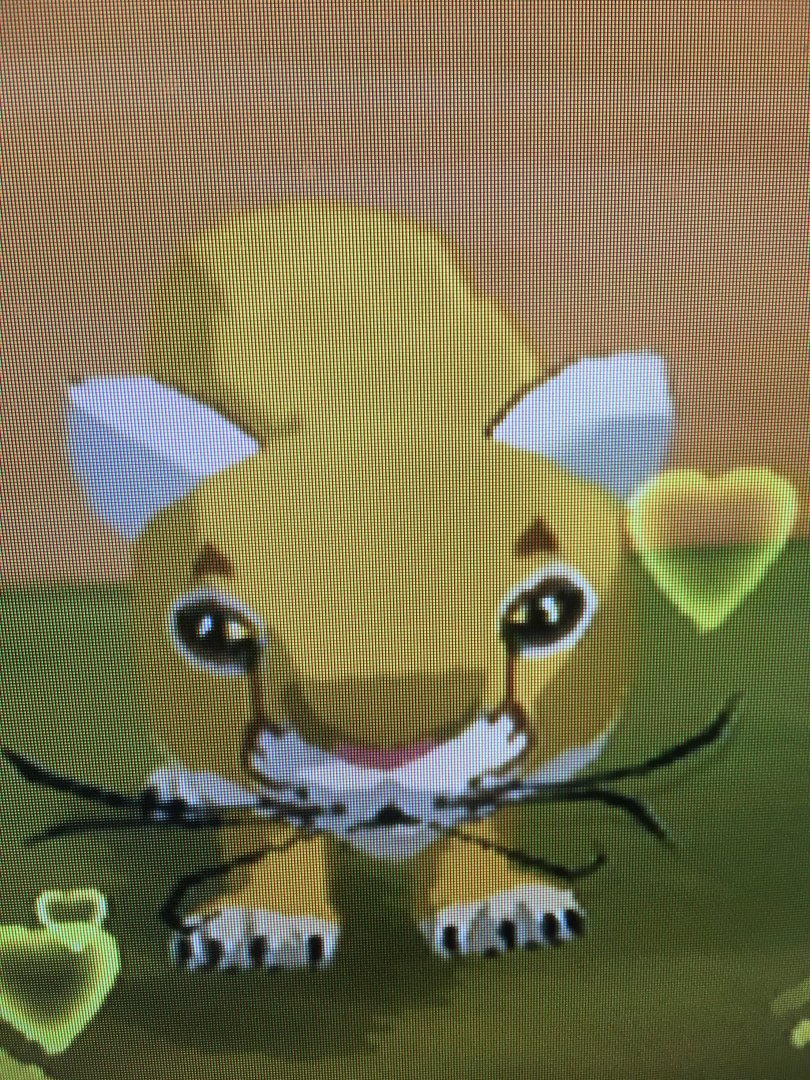 World of Zoo - Big Cat Savanna - Theodore