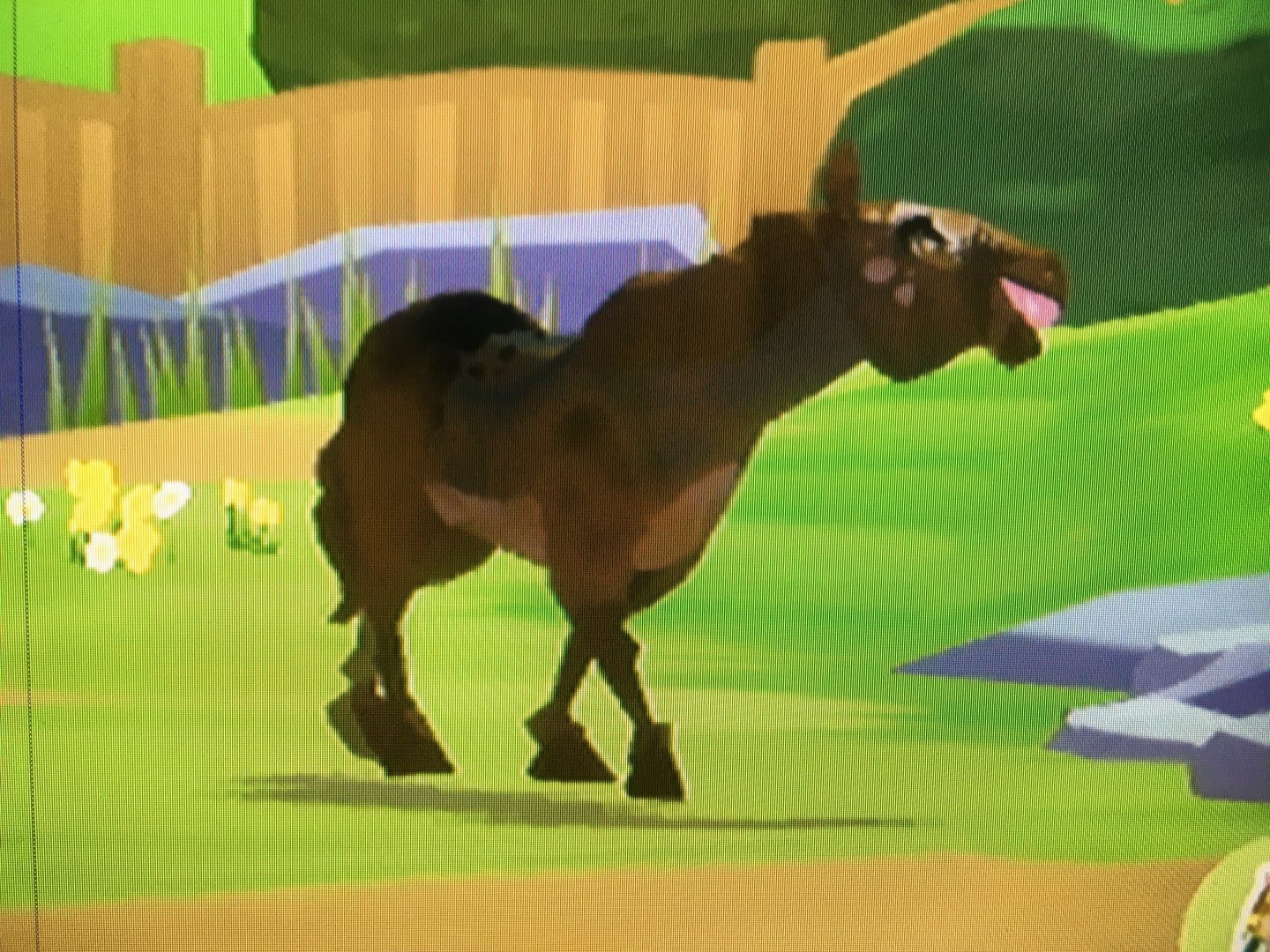 World of Zoo - Horse Meadows - Chad