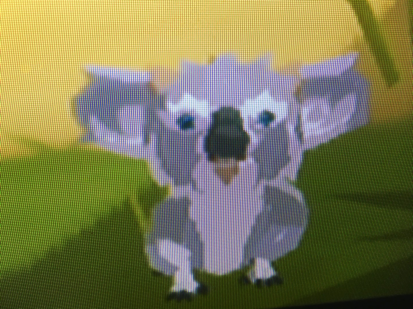 World of Zoo - Koala Hideaway - Bushie