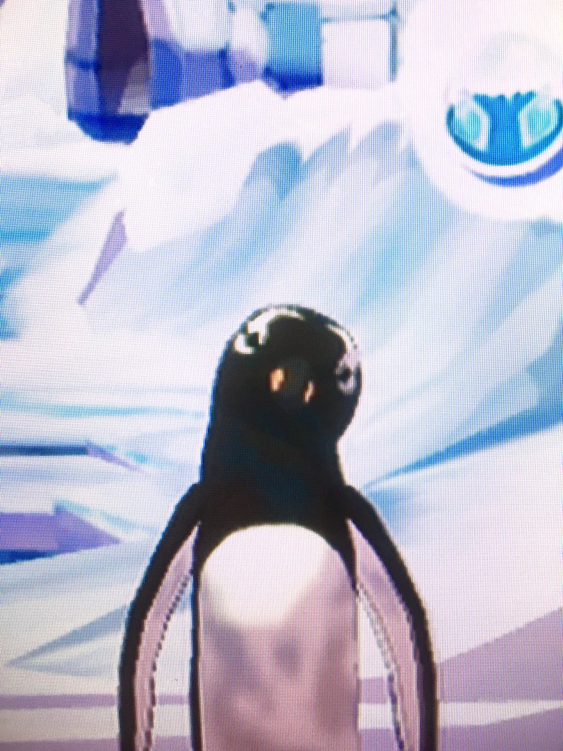 World of Zoo - Penguin Pool - Hector