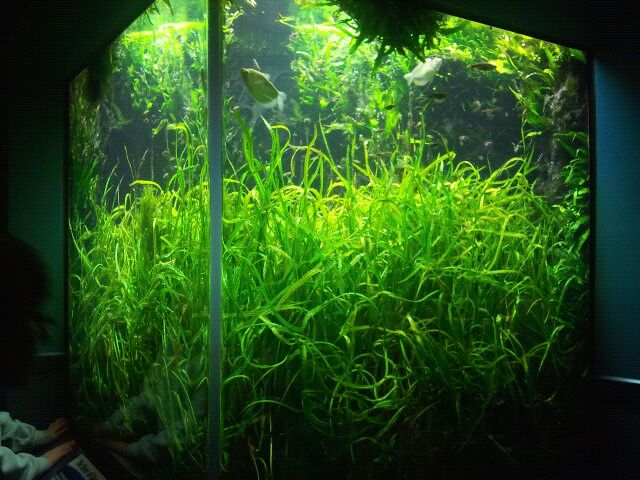 World Rivers-Mekong River