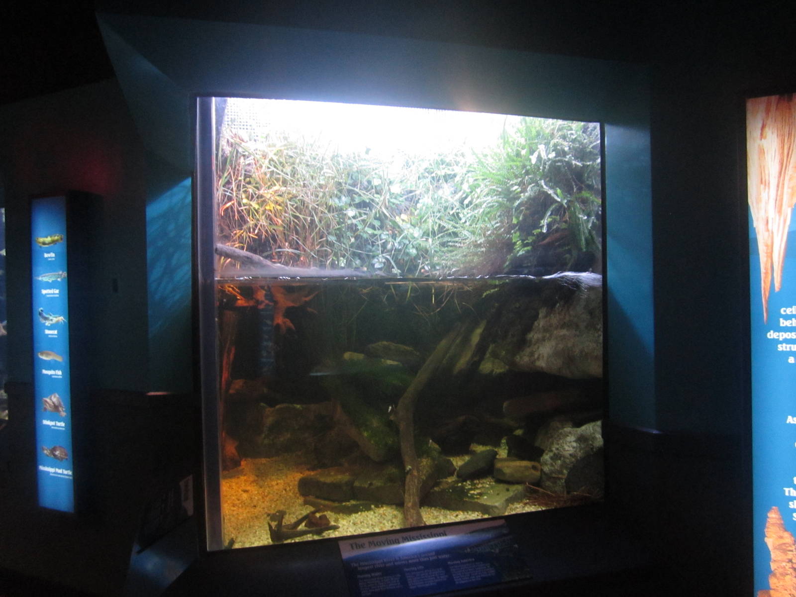 World Rivers - Mississippi Tank