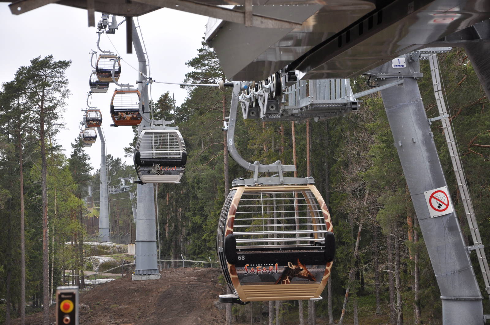 World sensational SAFARI 2011