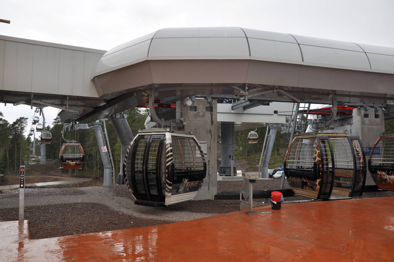 World sensational SAFARI 2011