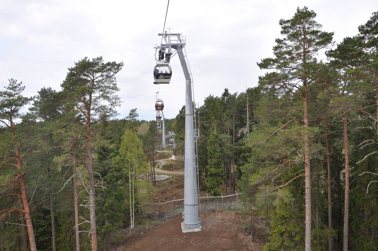 World sensational SAFARI 2011