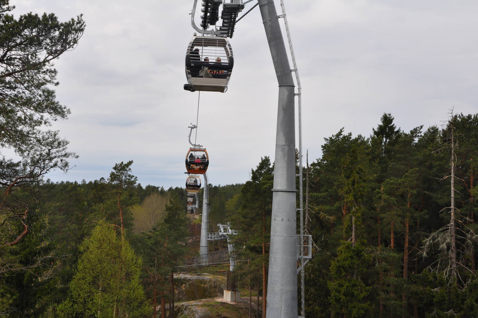 World sensational SAFARI 2011