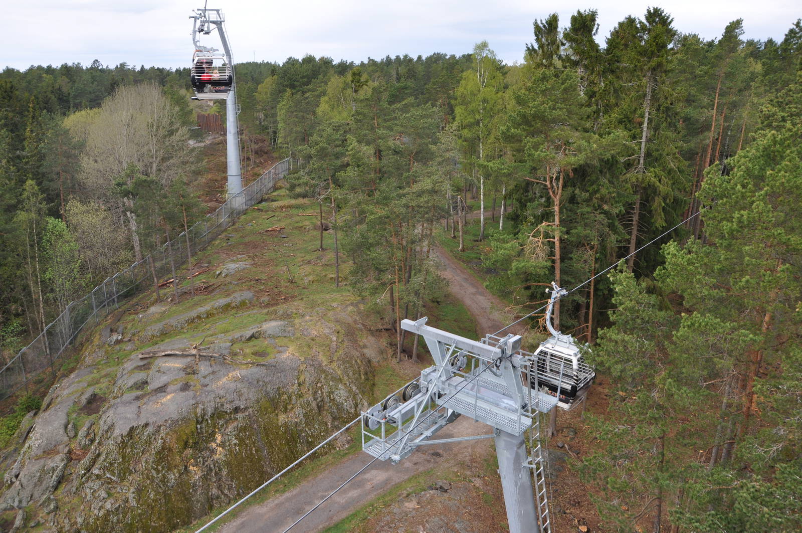 World sensational SAFARI 2011