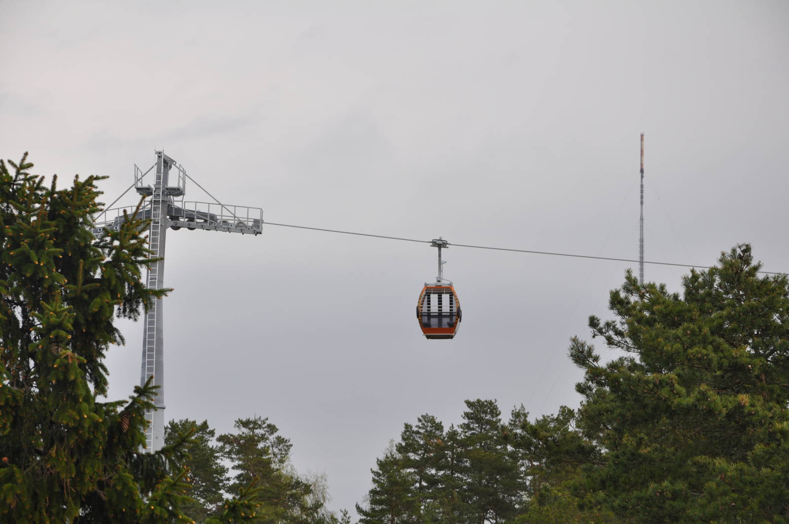 World sensational SAFARI 2011