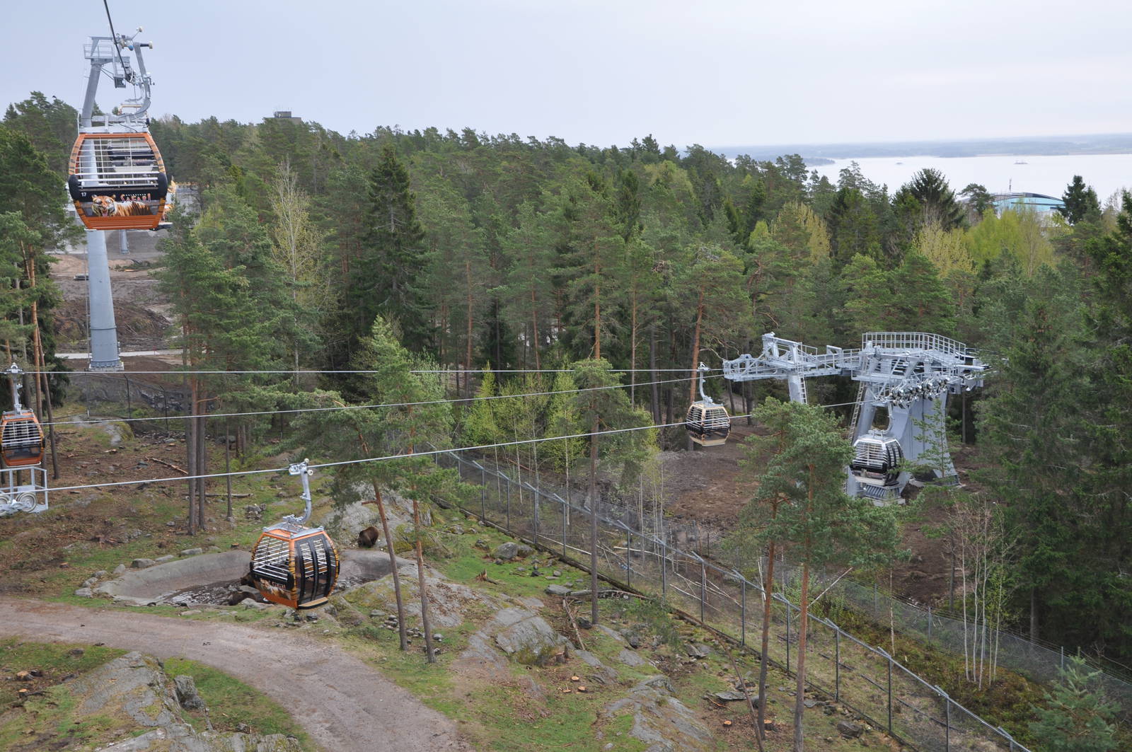 World sensational SAFARI 2011