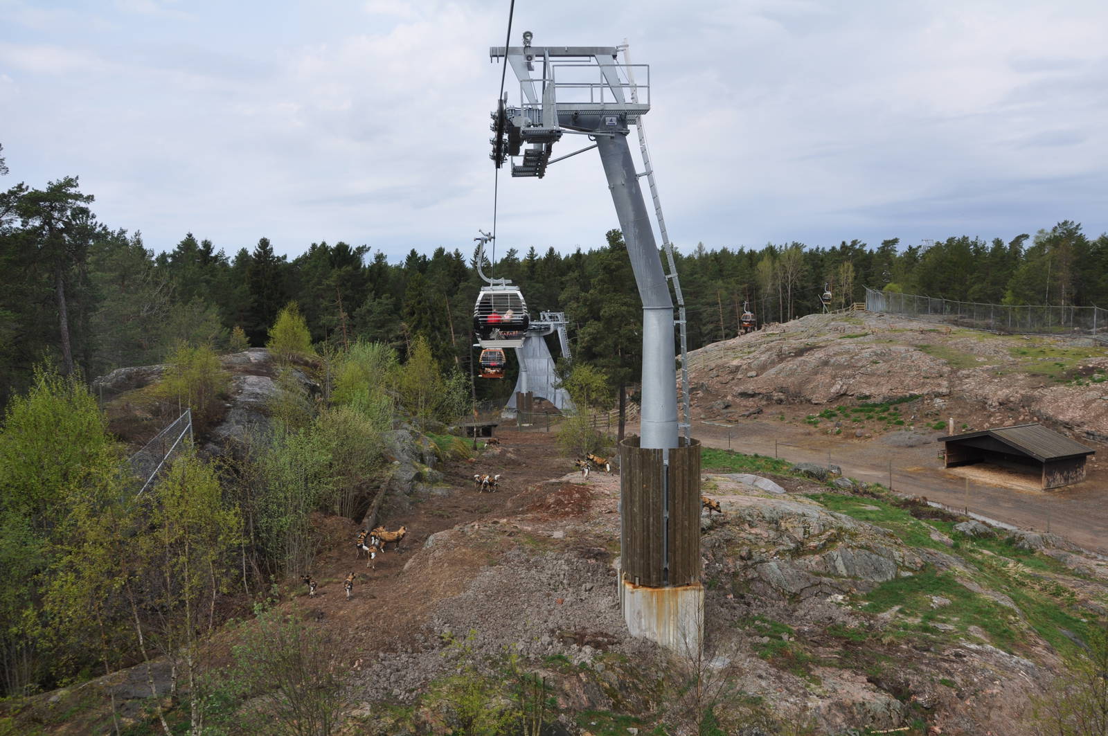 World sensational SAFARI 2011