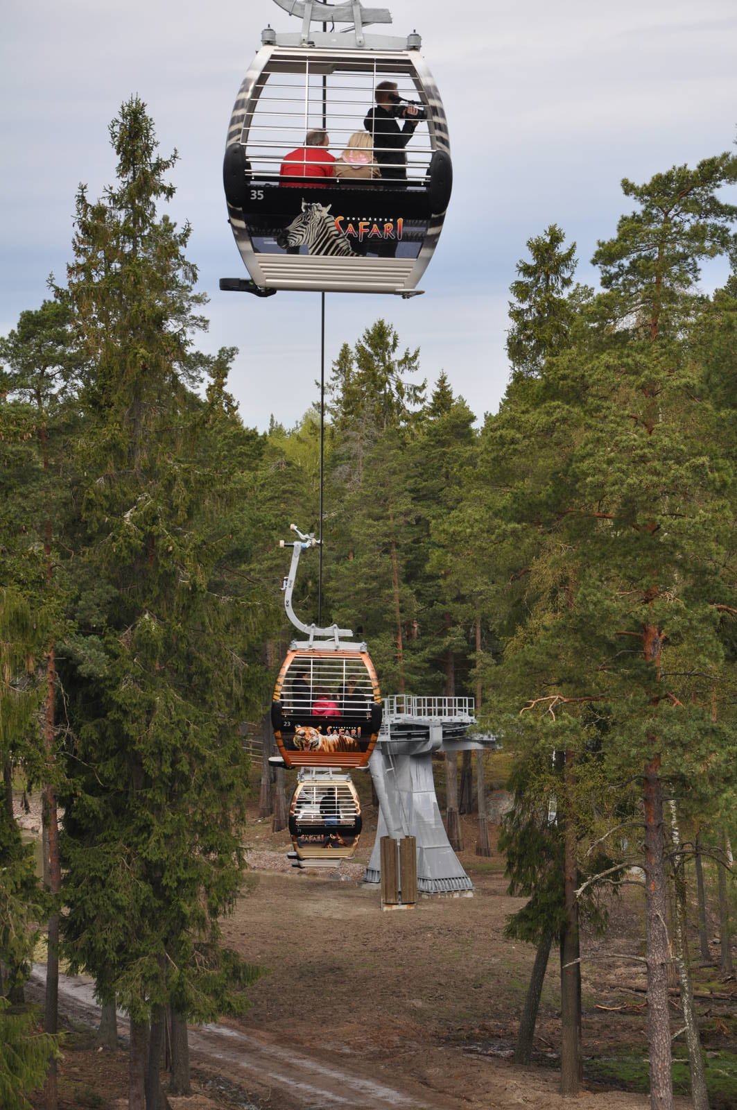 World sensational SAFARI 2011