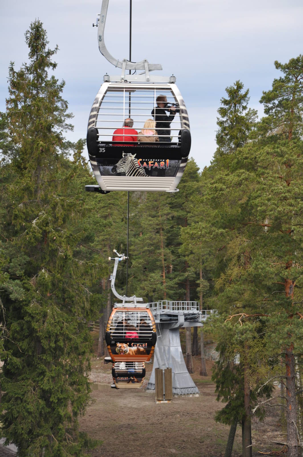 World sensational SAFARI 2011