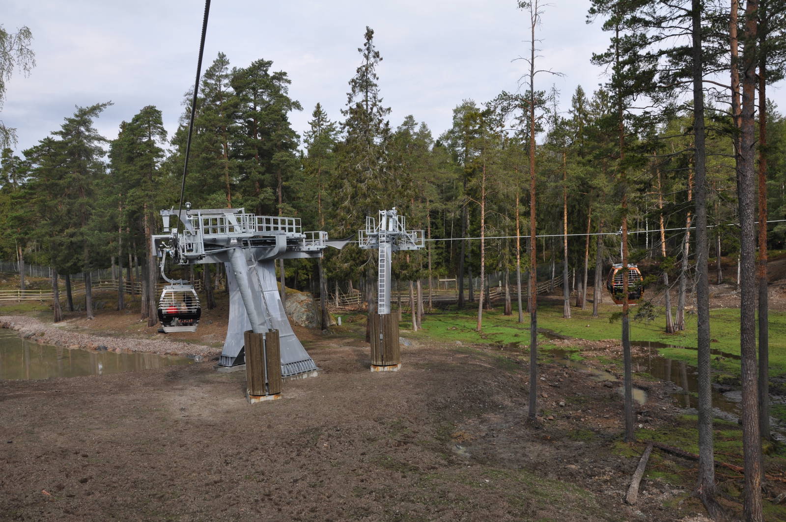 World sensational SAFARI 2011