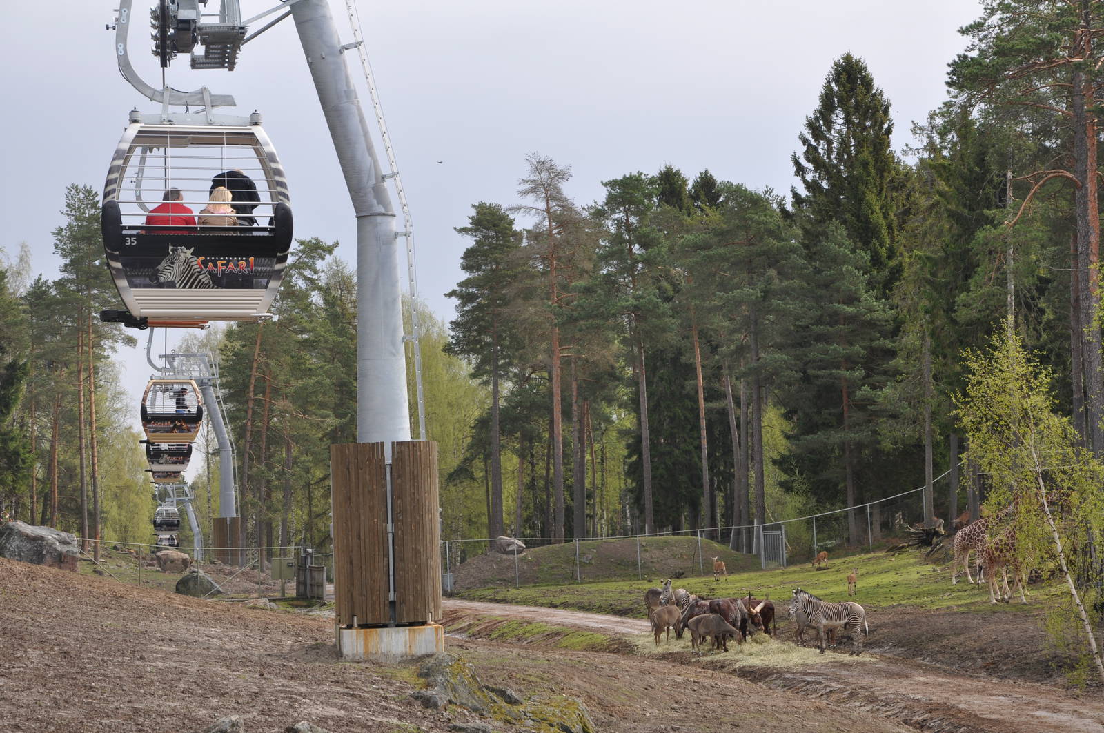 World sensational SAFARI 2011