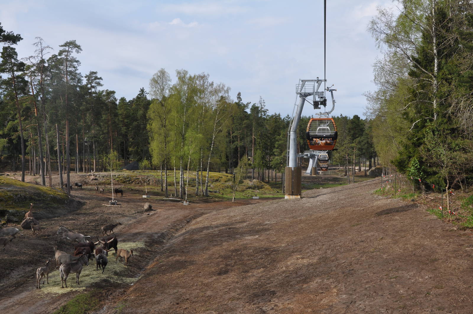 World sensational SAFARI 2011