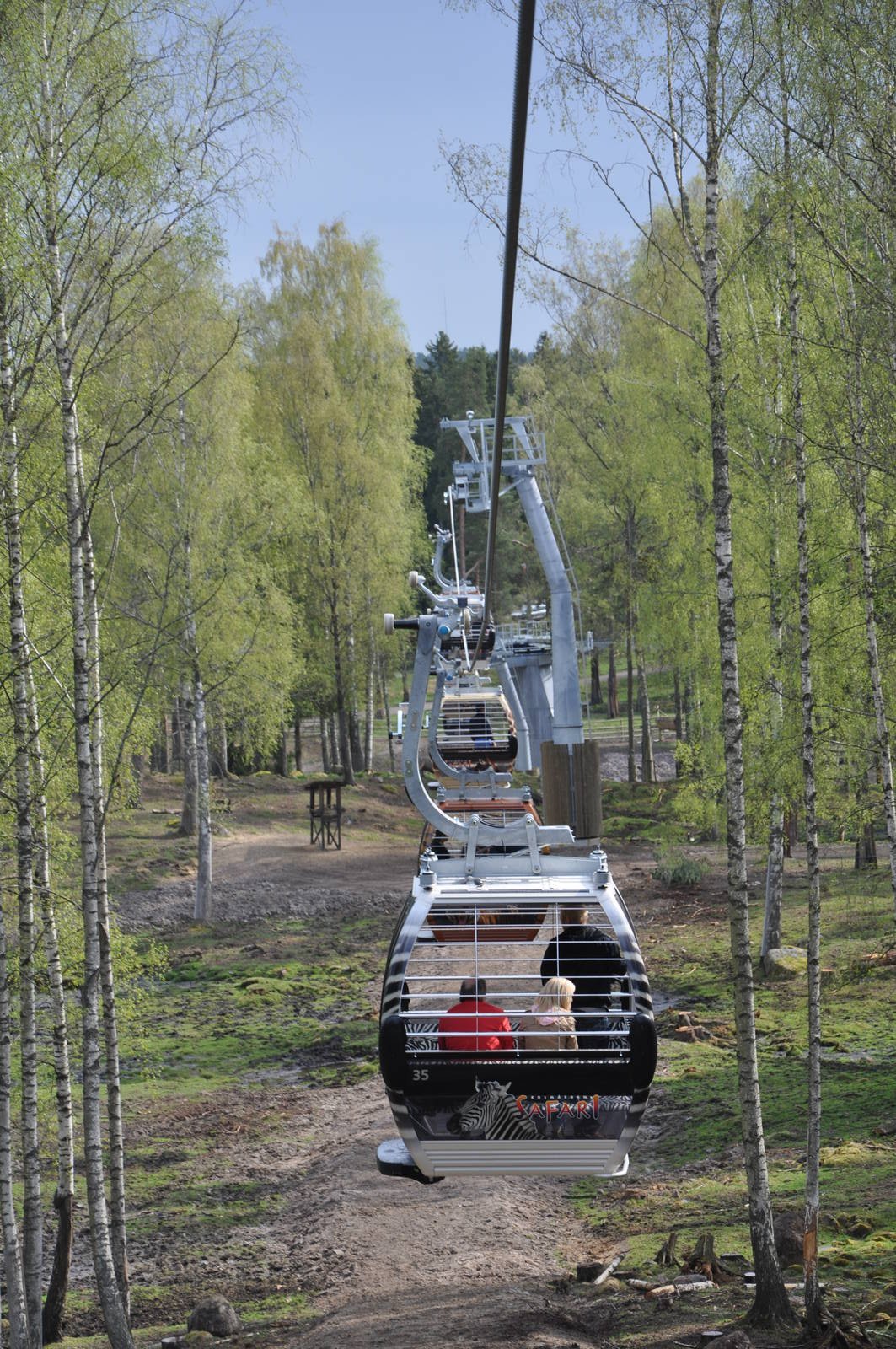 World sensational SAFARI 2011