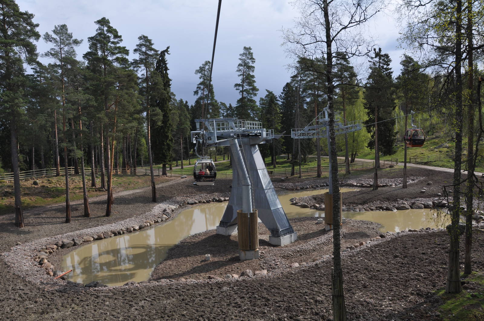 World sensational SAFARI 2011