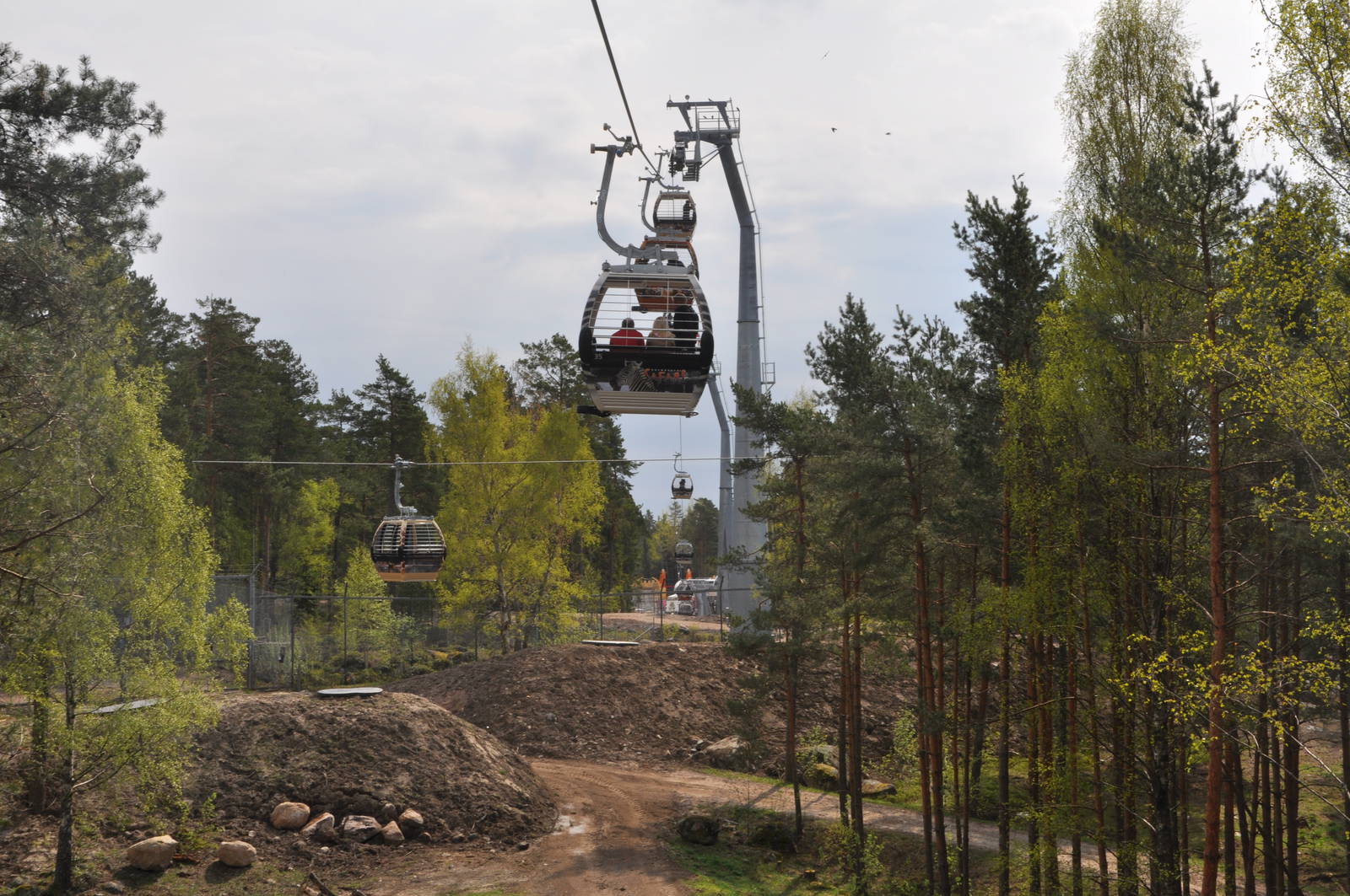 World sensational SAFARI 2011