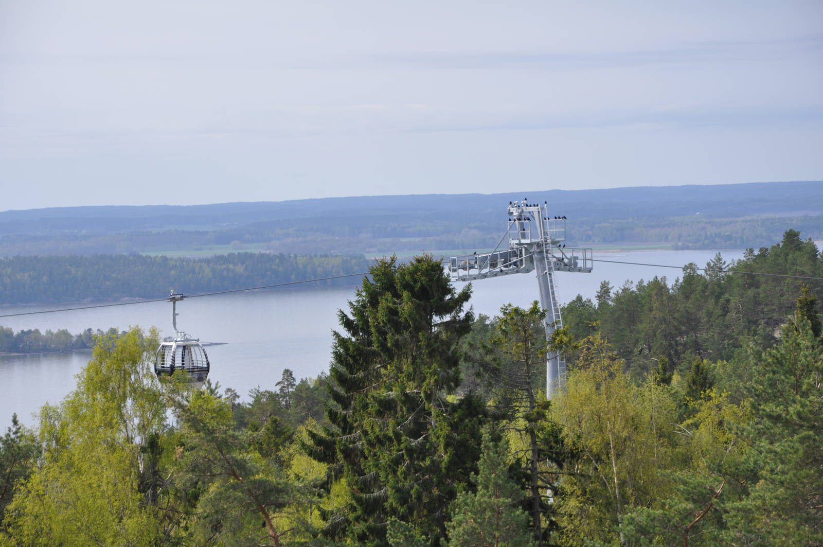 World sensational SAFARI 2011